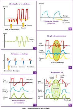 the diagrams show different types of waveforms and their corresponding amplitudes, which can be described in several ways