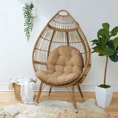 a hanging chair in the corner of a room with a potted plant and rug