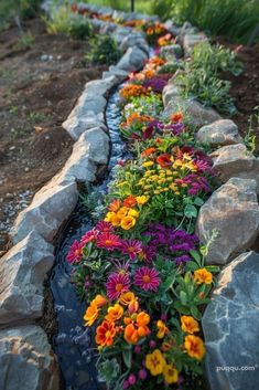 colorful flowers are lined up along the edge of a stream