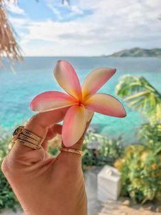 a person holding a flower in their hand near the ocean and palm trees on the beach