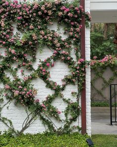 a white brick wall covered in pink flowers