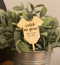 a wooden sign sitting on top of a potted plant