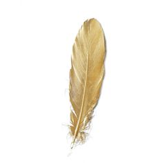 30 Pack | Metallic Gold Natural Goose Feathers | Craft Feathers for Party Decoration Feathers Craft, Metallic Gold Spray Paint, Boho Themed Party, Dipped Feathers, Feather Garland, Craft Feathers, Party Decoration Items, Novel Inspiration, Metallic Gold Paint