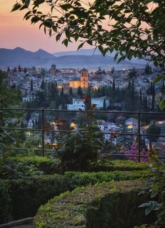 the city lights shine brightly in the distance as seen from an elevated garden area at dusk