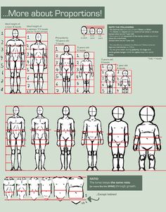 the human body is shown with different angles and measurements for each individual's body