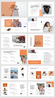 an image of a website page with many different layouts and colors, including orange, white