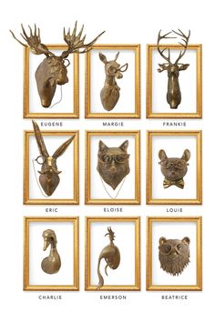 an assortment of animal heads mounted in gold frames with words describing them to each other