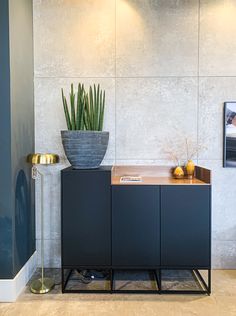 a plant is sitting on top of a cabinet