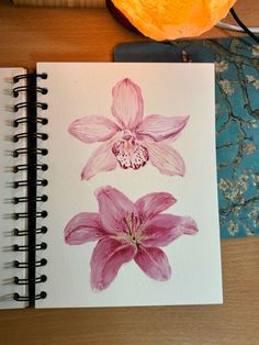 Gouache Art Ideas, How To Draw A Lily, Lily Flower Watercolor, Lily Flower Drawing, Lily Paintings, Lilies Watercolor, Lily Drawing, Watercolor Lily, Lily Watercolor