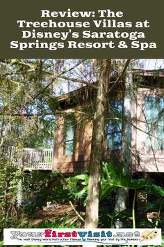 the treehouse villa at disney's saratoga springs resort & spa is featured in this postcard