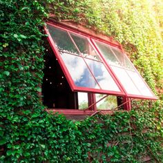 the window is covered in ivy and has red trim around it's edges,