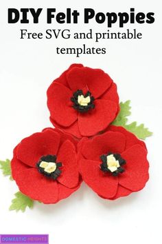 three felt poppies with green leaves on them and the words diy felt poppies free svg and printable templates