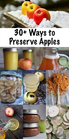 Keep apples fresh all winter long!  30+ genius preservation ideas from our ancestors to modern methods.  #applepreservation #winterfood #applesauce #canning #freezing #foodpreservation