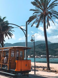 an orange trolley car on tracks next to water and palm trees