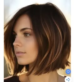 Feathered Bangs, Classic Bob, Short Brown Hair, Chin Length Hair, Short Bob Haircuts, Hair Color And Cut, Bob Haircut, Medium Hair Cuts, Shoulder Length Hair