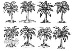 the palm trees are drawn in black and white