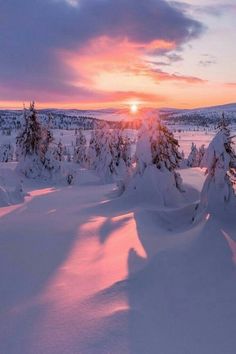 the sun is setting over some snow covered evergreens and trees in the foreground