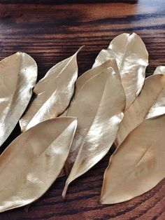 some leaves are laying on a wooden table