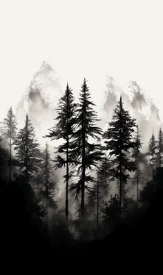 black and white photograph of trees in the fog