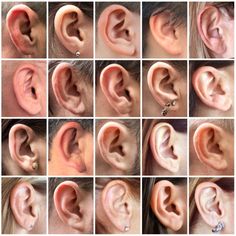 multiple images of different types of ear piercings