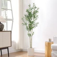 a living room with white furniture and a tall plant in the corner on the floor