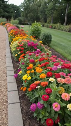 many different colored flowers line the side of a road in front of a grassy area