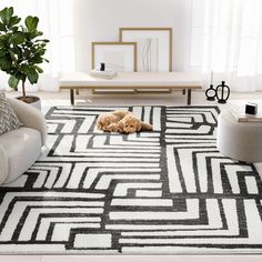 a dog laying on top of a rug in a living room next to a couch