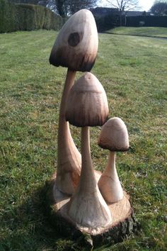 three mushrooms sitting on top of a tree stump in the middle of a grass field