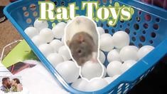 a hamster in a basket filled with eggs and the words rat toys on it