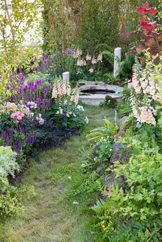 a garden filled with lots of different types of flowers