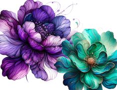 two colorful flowers on a white background with watercolor paint effect and swirls in the petals