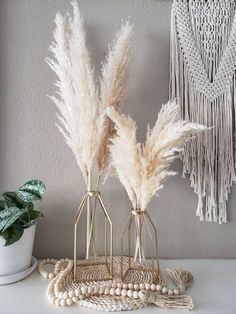 some white feathers are sitting in vases on a shelf next to a potted plant