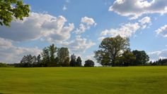 a green field with trees and clouds in the background