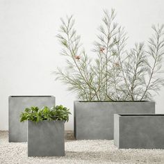 three cement planters with plants in them