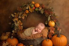 a baby is sleeping in a basket surrounded by pumpkins and other autumn leaves,