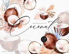 watercolor coconuts and palm leaves on a white background with the words coconut written in it