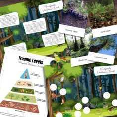 the trophic levels game is shown with pictures and information about it's contents