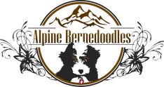 an image of the logo for alpine berenodles, a petting and grooming business