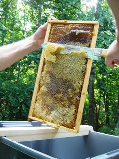 a man holding up a beehive that is covered in honey