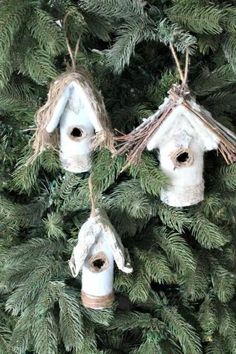 three bird houses are hanging from a tree