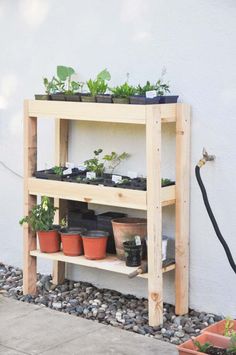 several potted plants sitting on top of wooden shelves