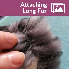 someone is removing the hair from their fur