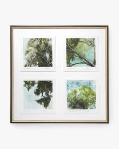 four framed pictures hanging on the wall in front of a white wall with three different trees