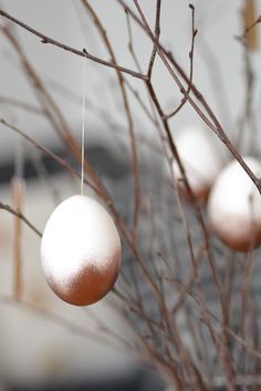 three ornaments hanging from a tree with no leaves