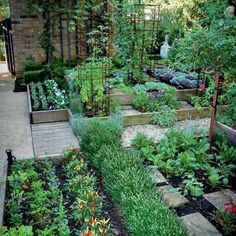 a garden filled with lots of different types of plants and flowers on top of each other