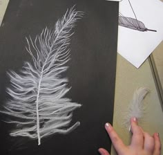 someone is drawing a feather on a piece of black paper with white chalk and colored pencils