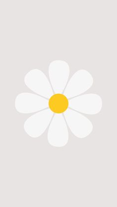 a white and yellow flower on a gray background