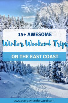 a snowy road with trees and the words, 15 awesome winter weekend tips on the east coast