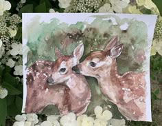 an image of two deers in the wild with flowers around them and watercolor on paper