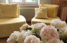 two yellow chairs with pillows and flowers in front of them